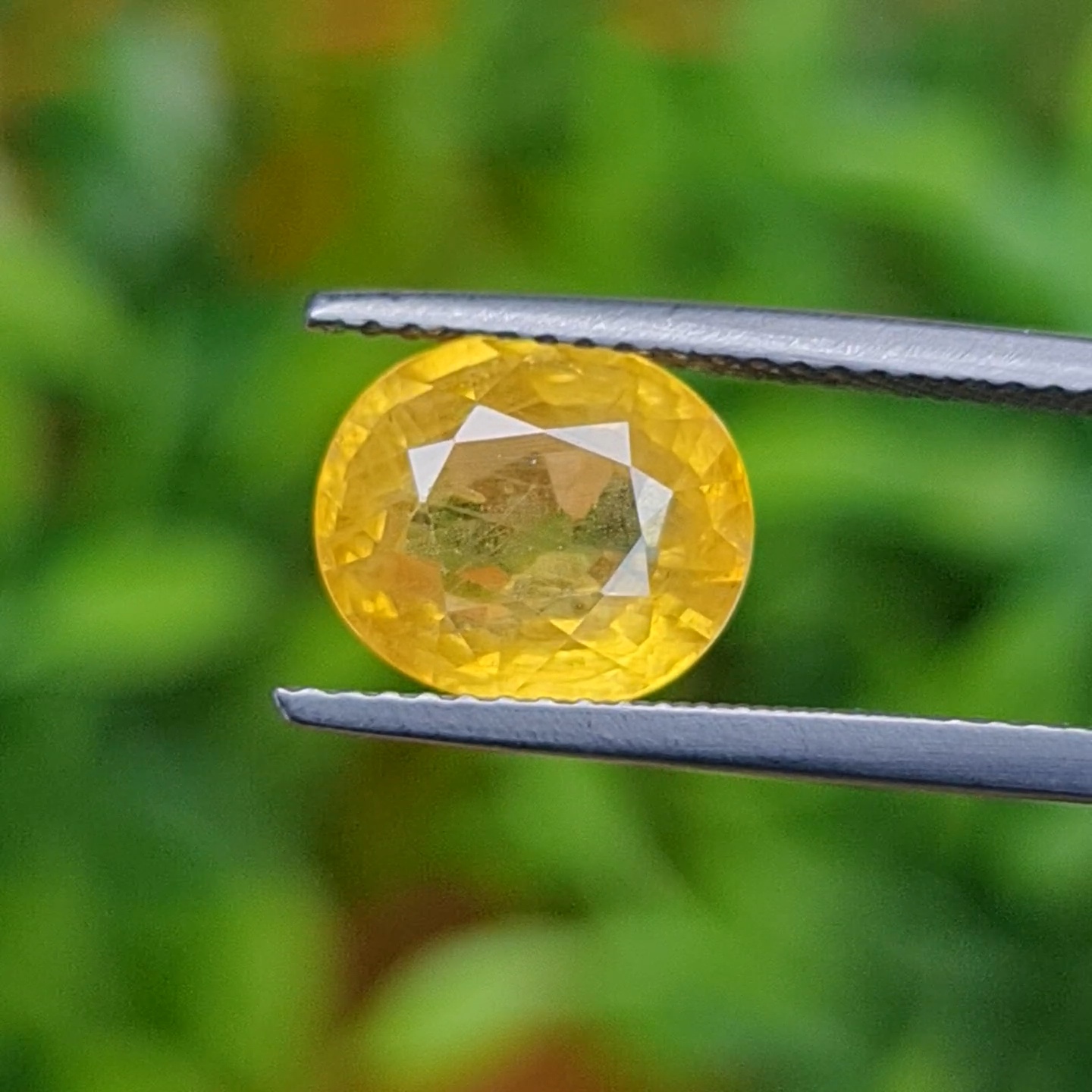 บุษราคัม (Yellow Sapphire)