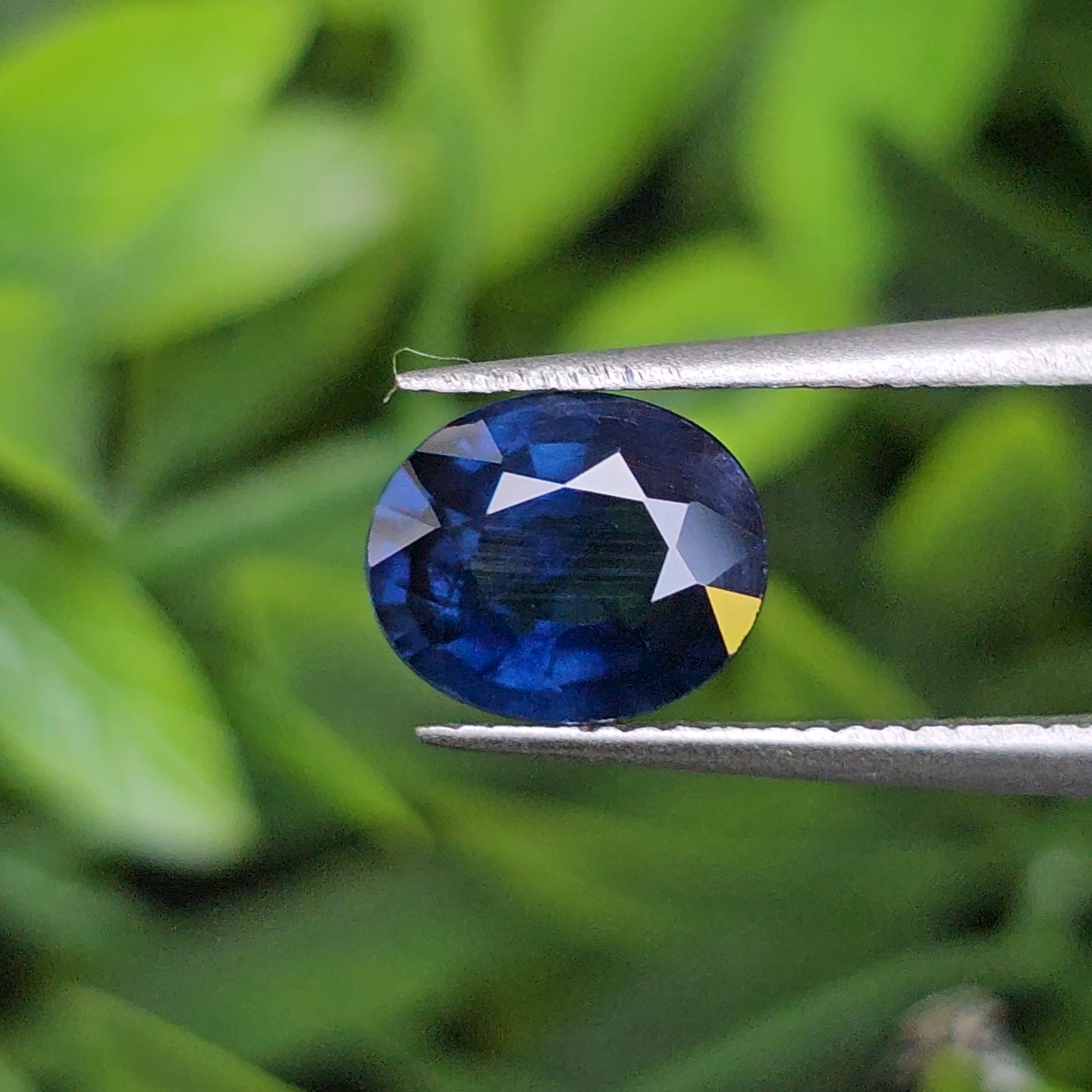ไพลิน Natural Sapphire