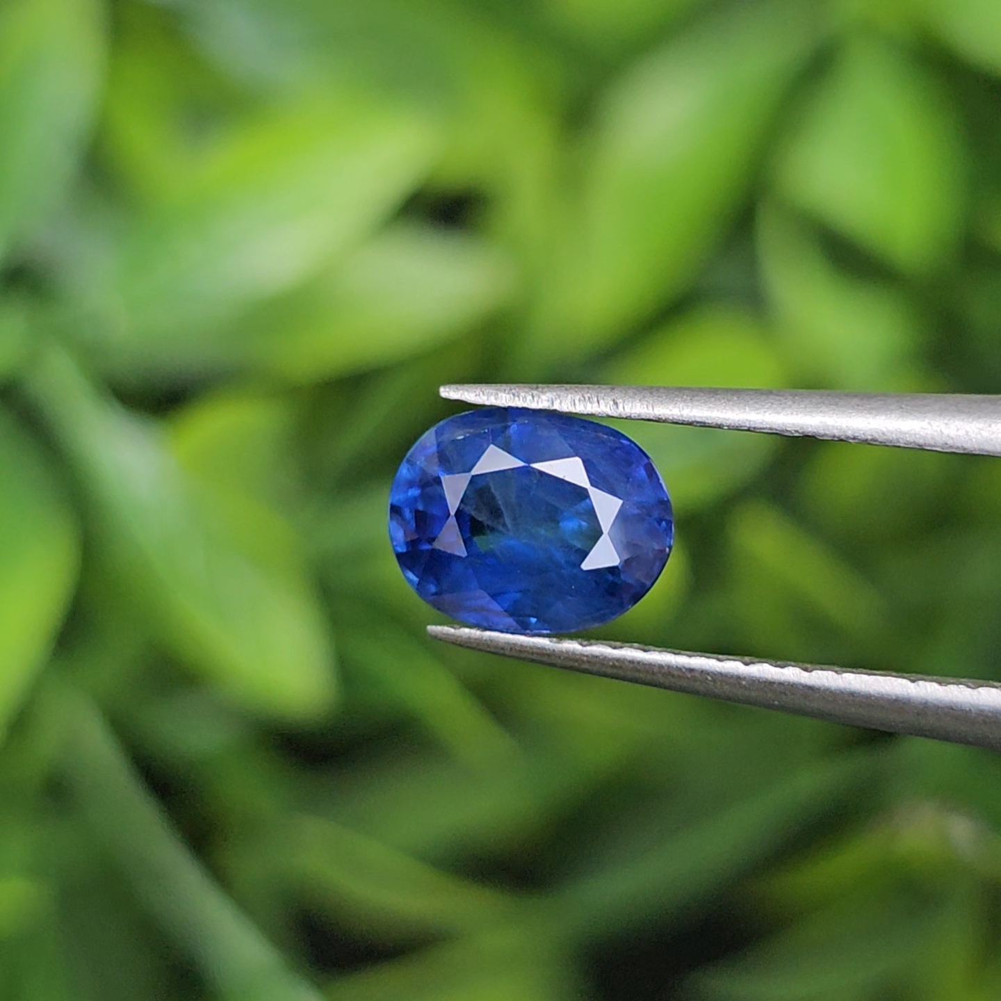 ไพลิน Natural Sapphire