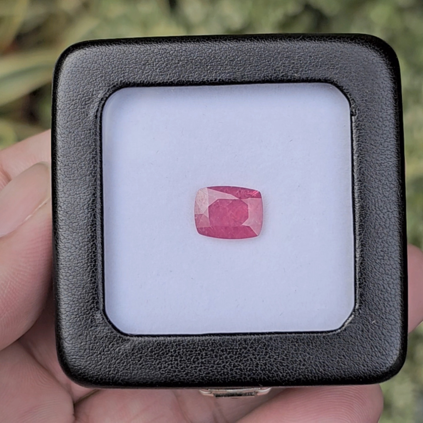 พลอย ทับทิม สยาม Siam Ruby sapphire