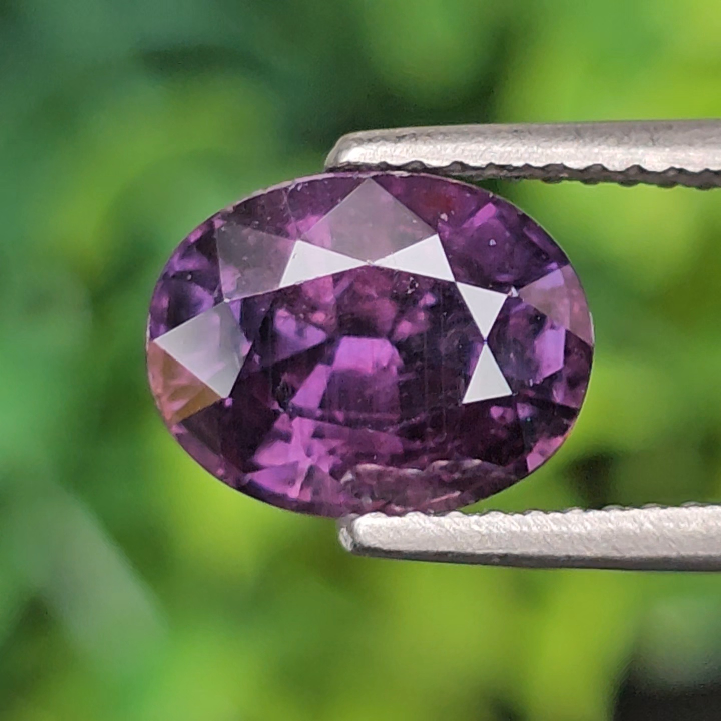 พลอย คัลเลอร์เชนจ์ แซฟไฟร์ Color Change sapphire