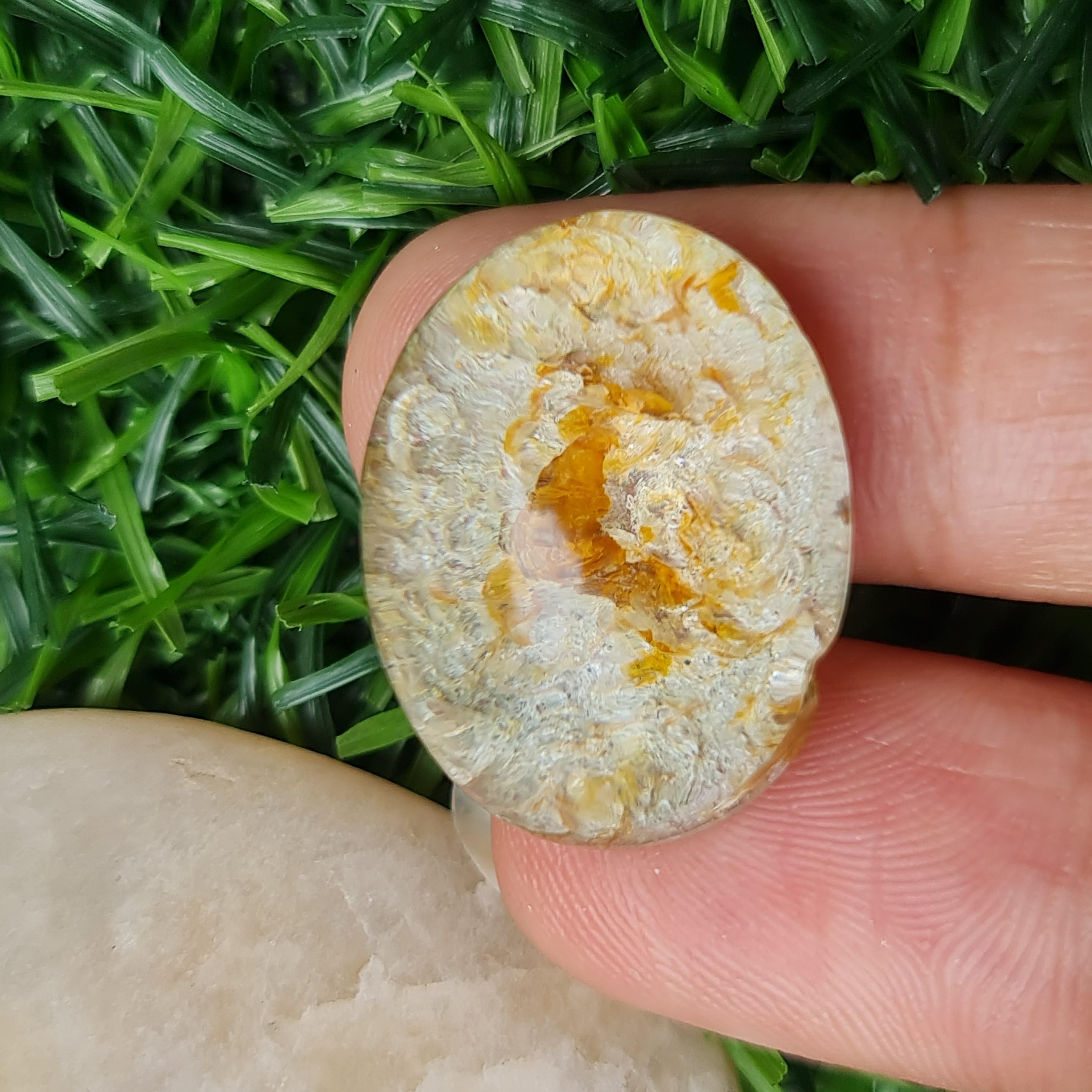 โป่งข่าม ควอตซ์ Rutilated Quartz