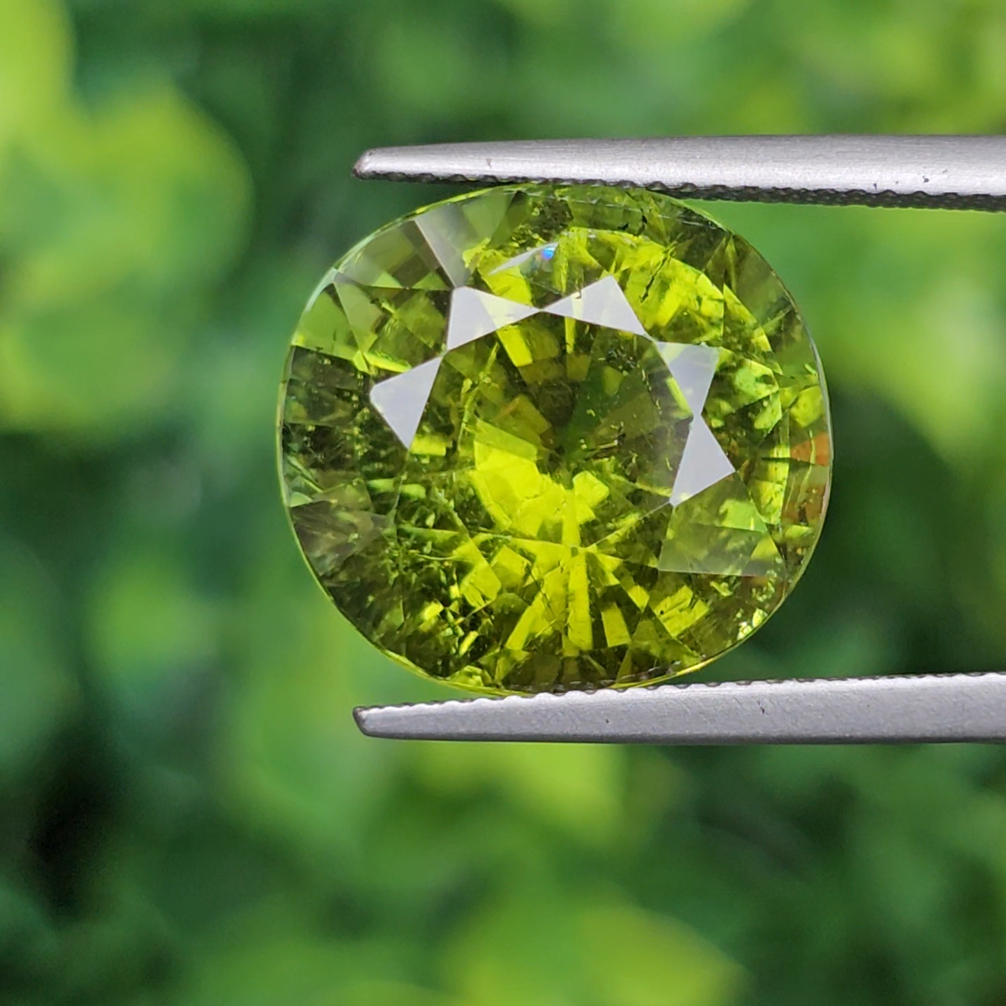 ทัวร์มาลีน Natural Tourmaline