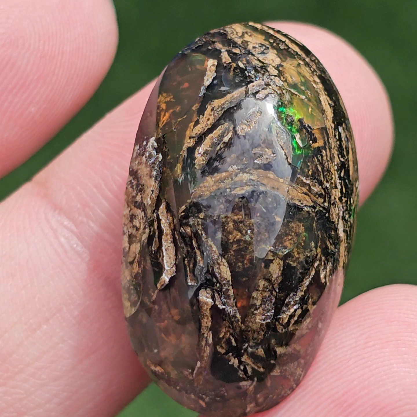 พลอย โอปอล Opal