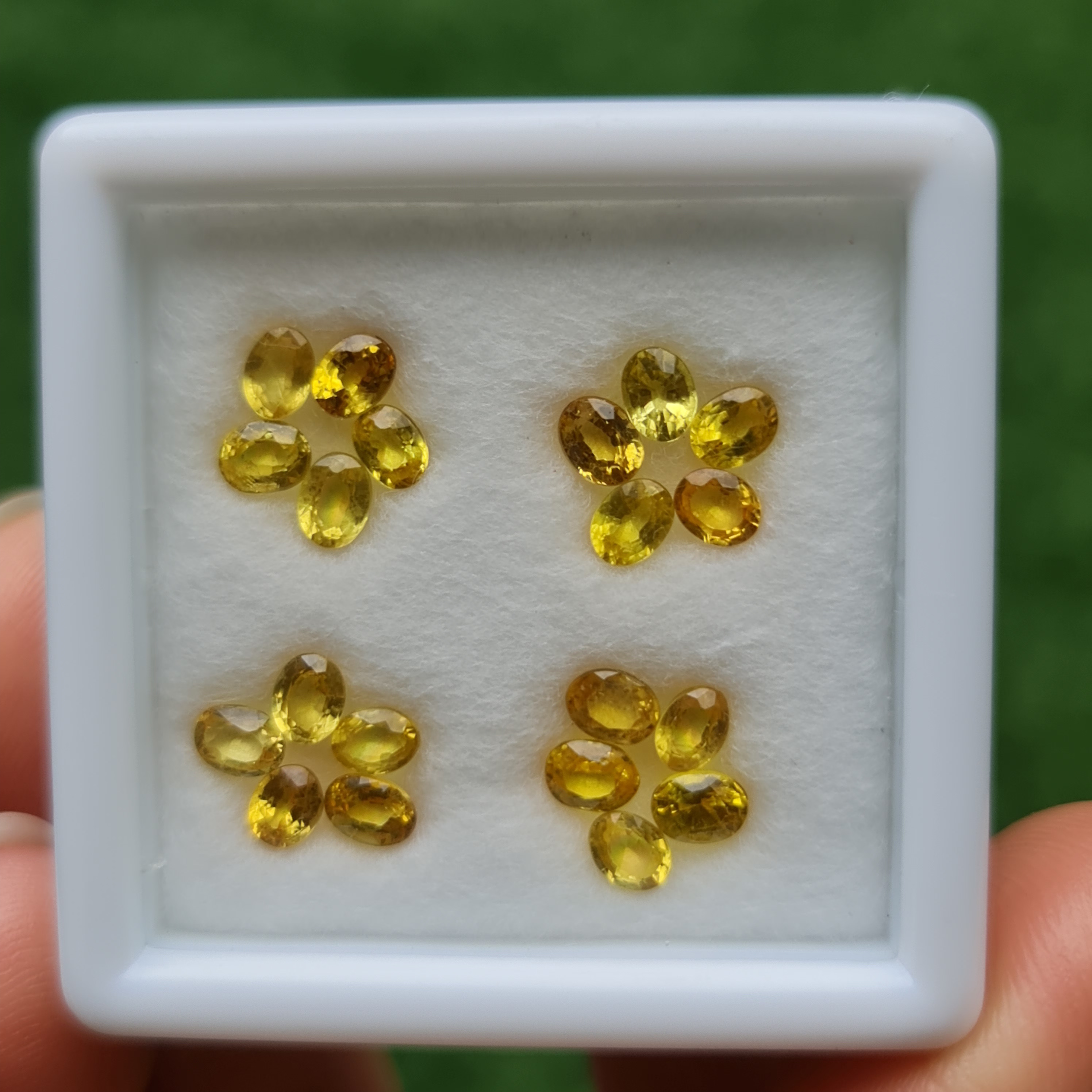 บุษราคัม Yellow Sapphire