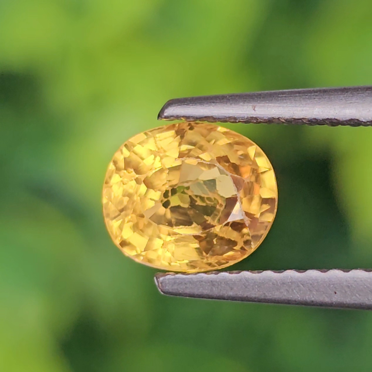 บุษราคัม Natural Yellow Sapphire