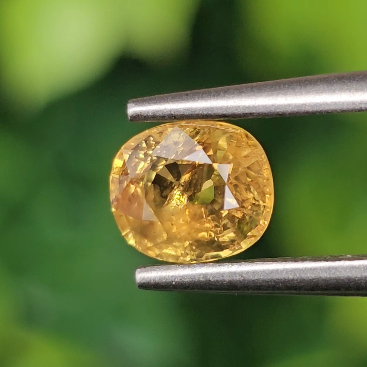 บุษราคัม Natural Yellow Sapphire