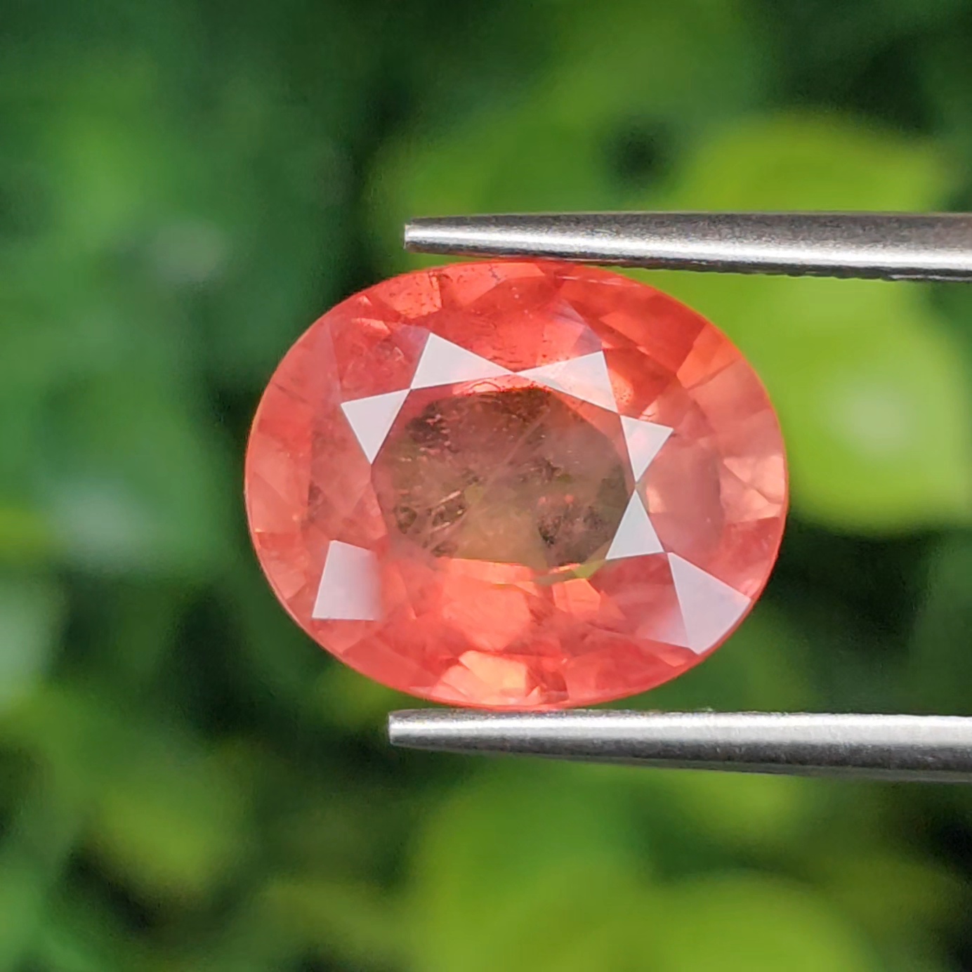 ออเรนจ์ แซฟไฟร์ Orange Sapphire