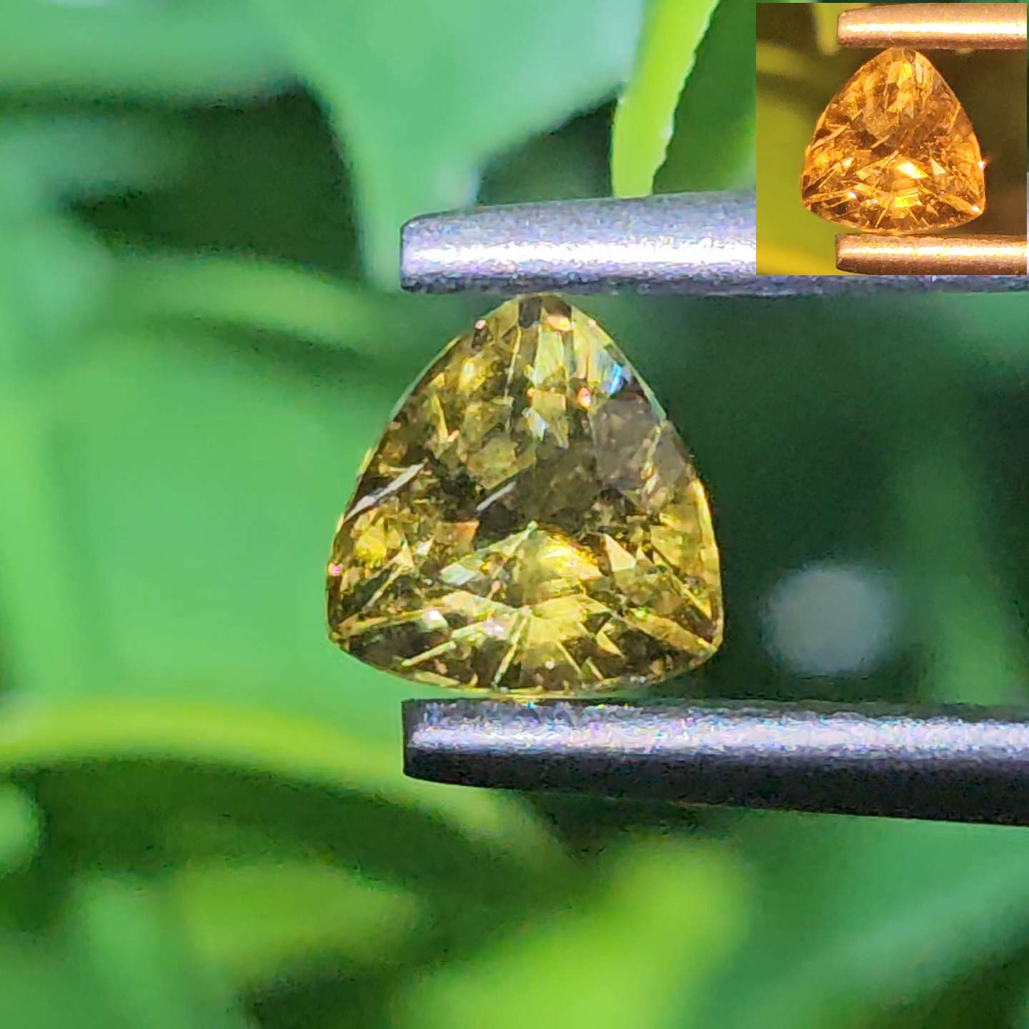 พลอยอเล็กซานไดร์ (Natural Alexandrite Chrysoberyl)