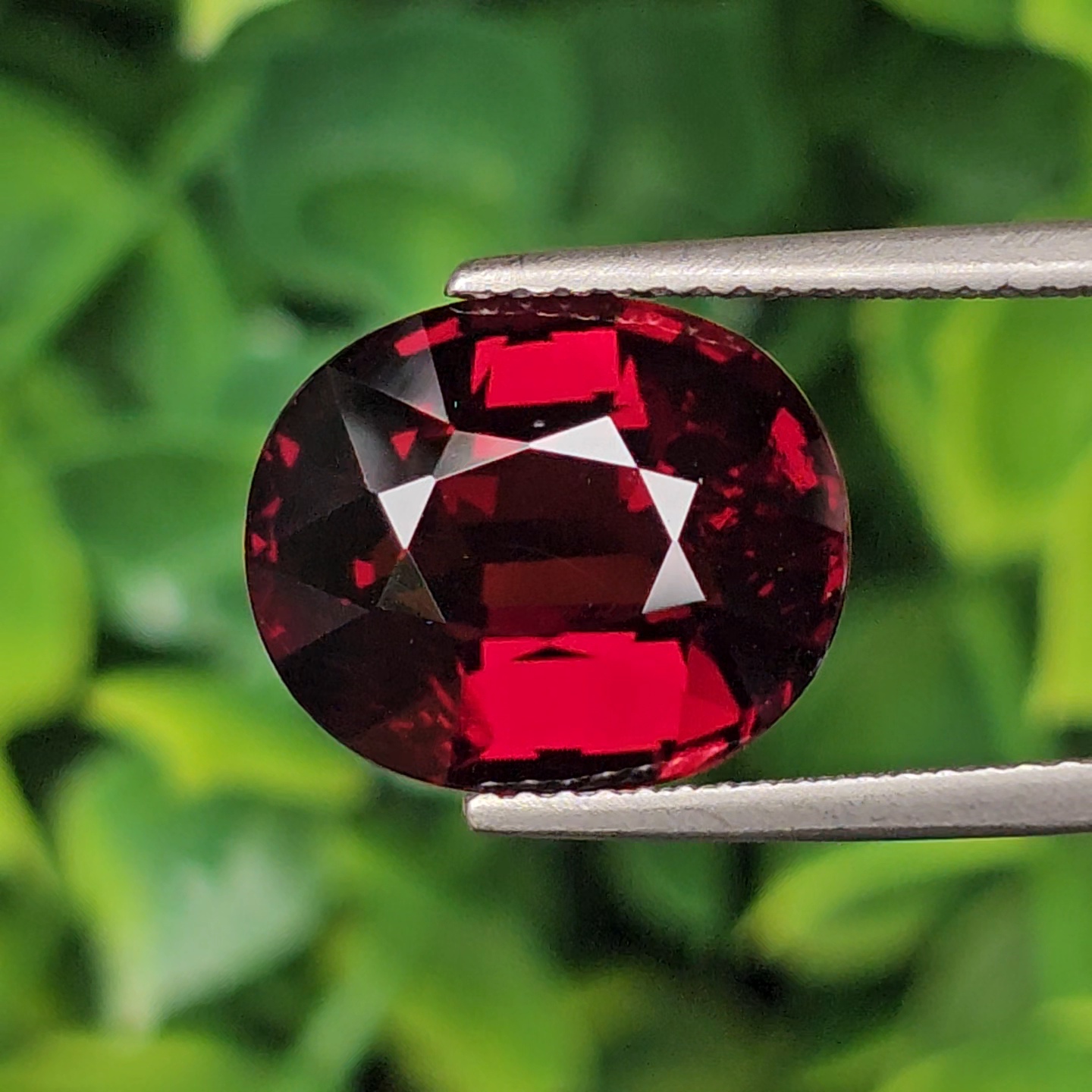 พลอย โกเมน Pyrope - Almandite Garnet