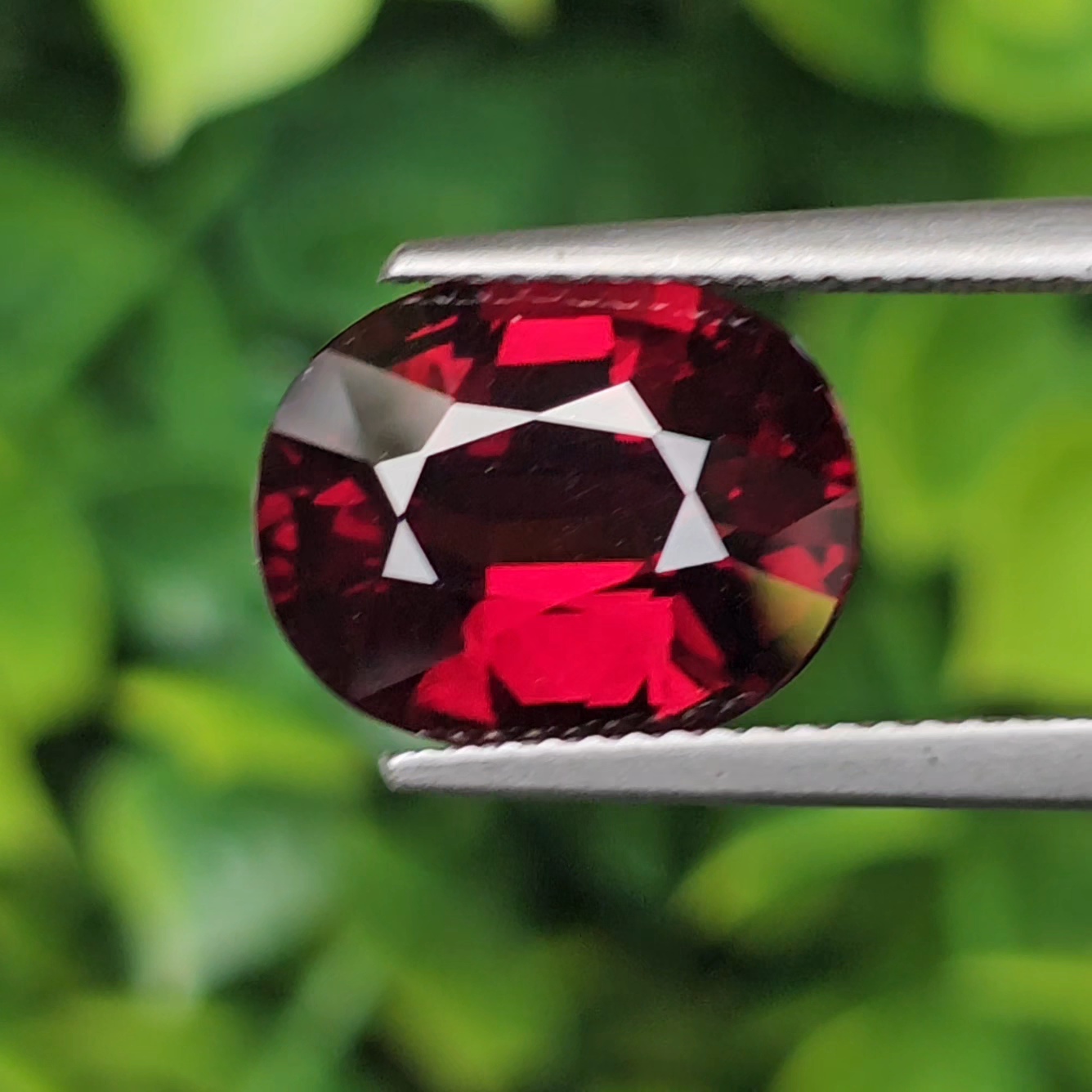 พลอย โกเมน Pyrope - Almandite Garnet