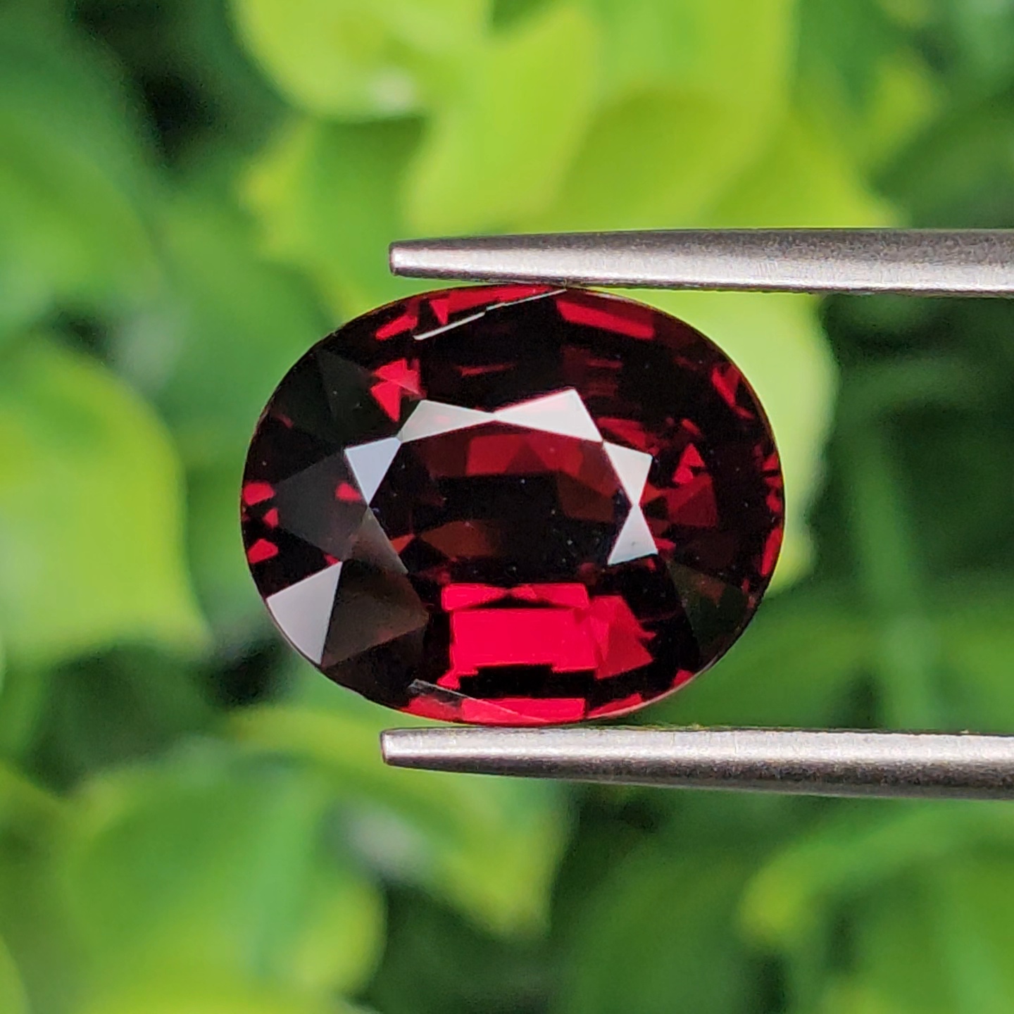 พลอย โกเมน Pyrope - Almandite Garnet