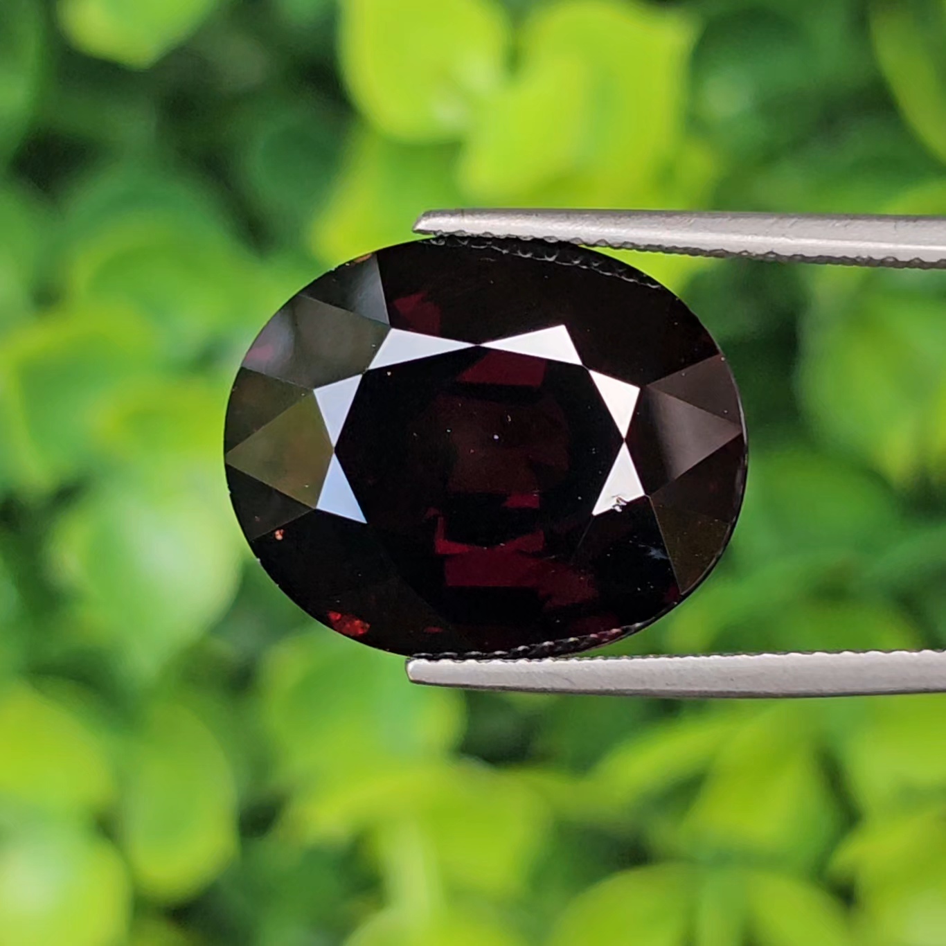 พลอย โกเมน Pyrope - Almandite Garnet