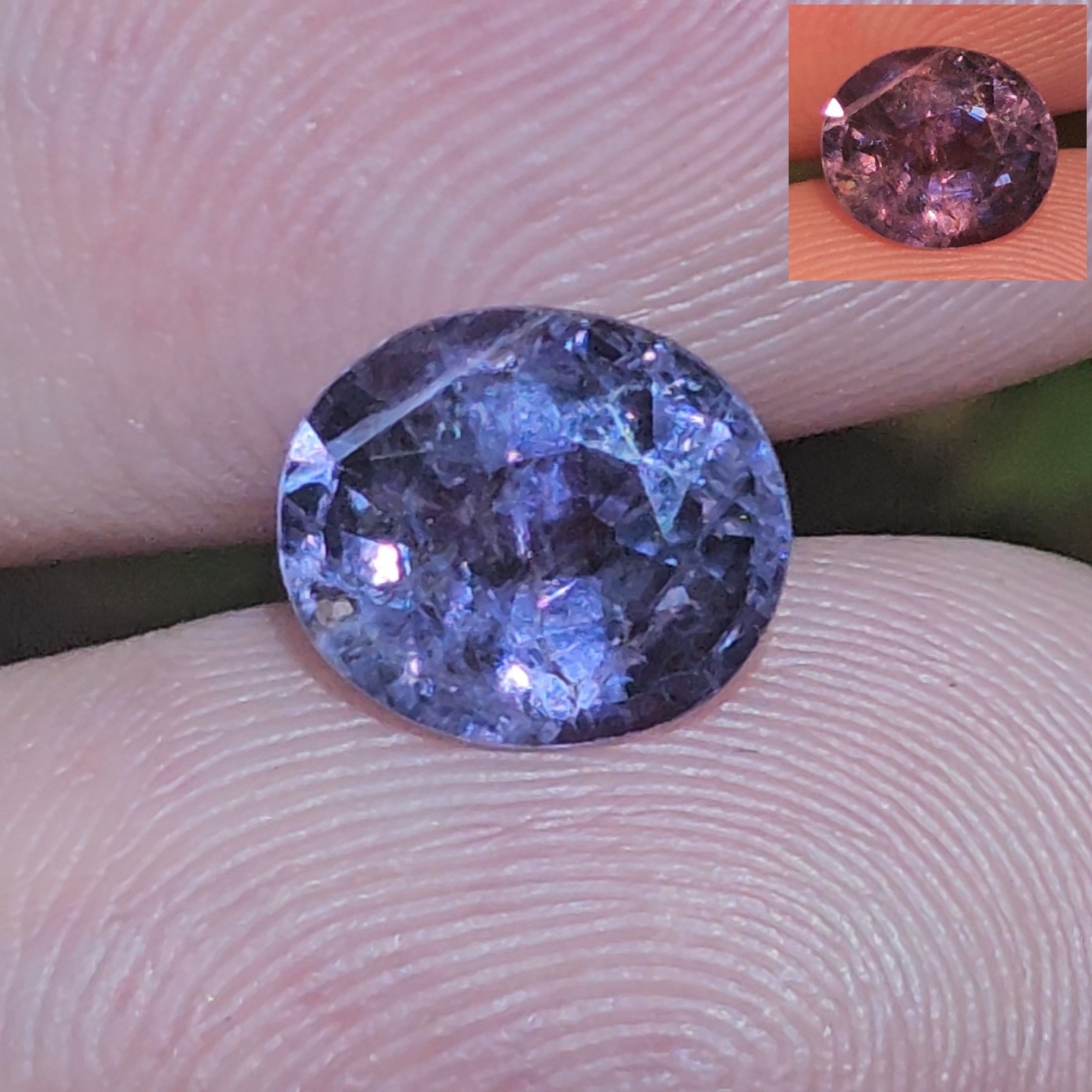 พลอย คัลเลอร์เชนจ์ แซฟไฟร์ Color Change sapphire