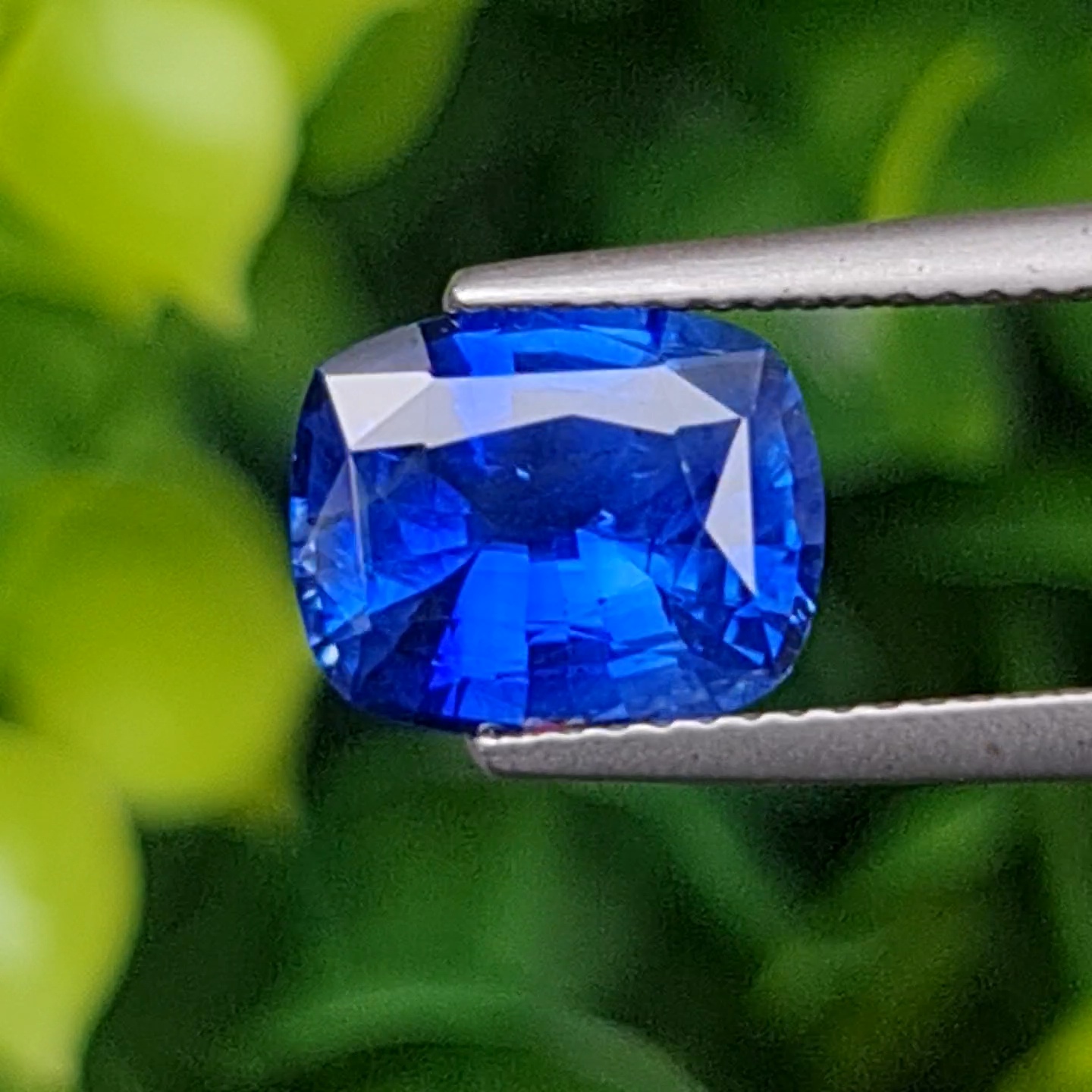 ไพลิน Natural Sapphire