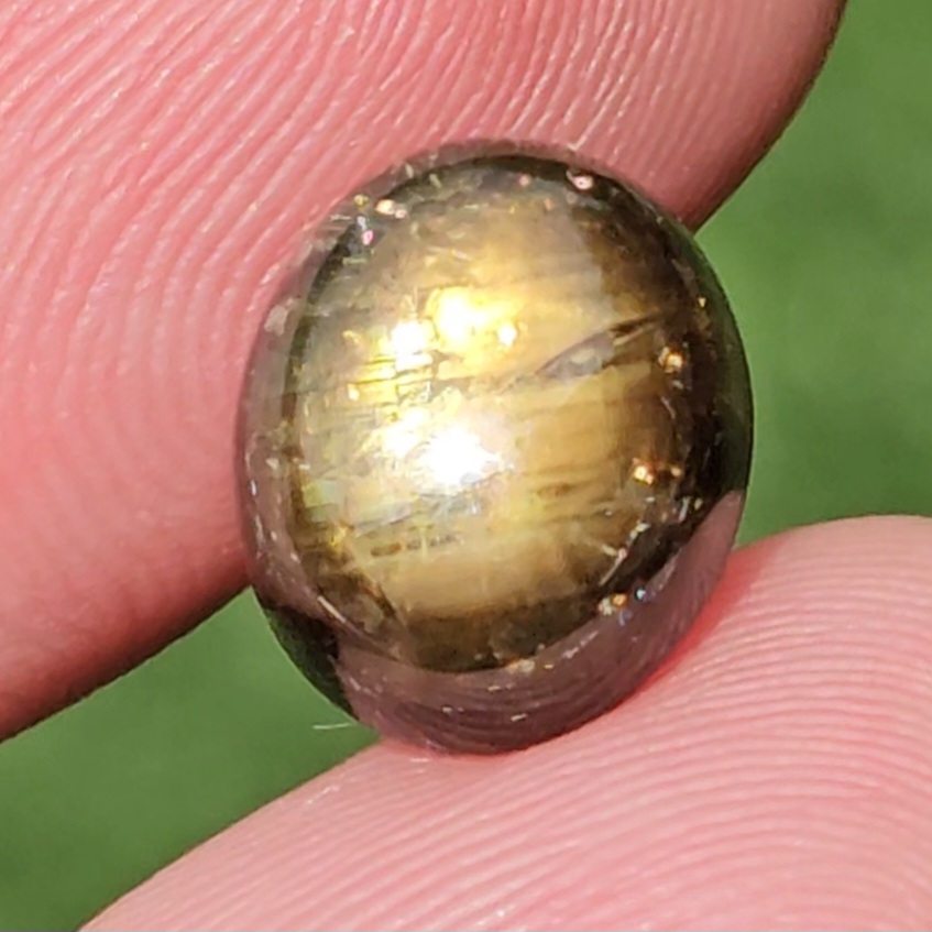 บุษราคัม สตาร์ แซฟไฟร์ Yellow Star Sapphire