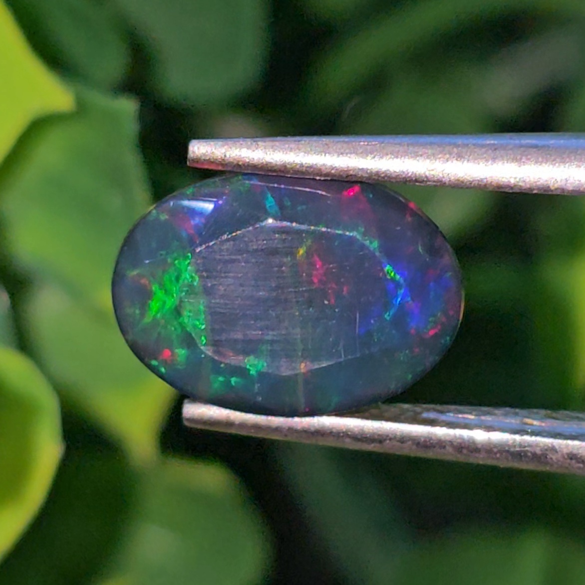 พลอย โอปอล Opal