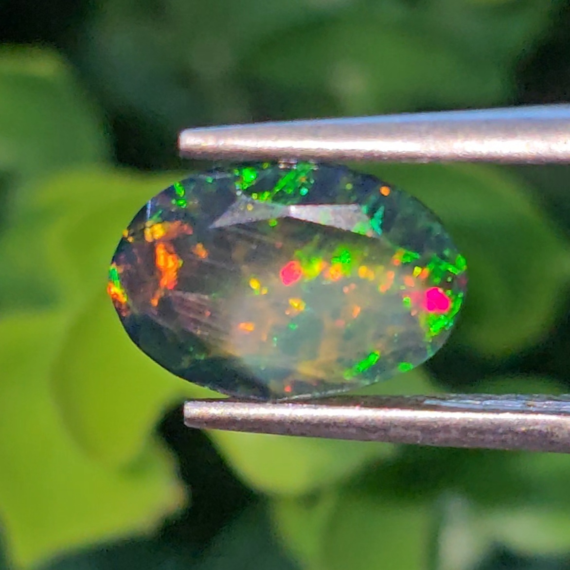 พลอย โอปอล Opal