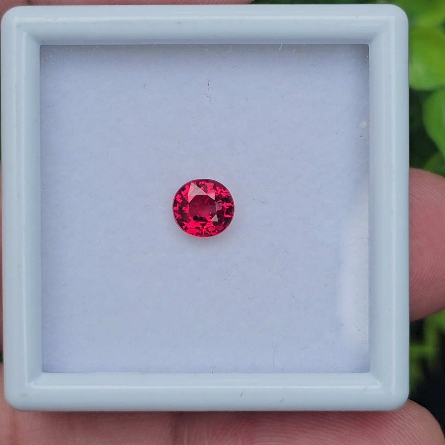 ทับทิม ซองเจีย Songea Ruby Sapphire
