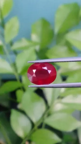 พลอย ทับทิม Ruby sapphire