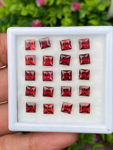 พลอย โกเมน Garnet