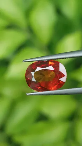 ทับทิม Ruby Sapphire