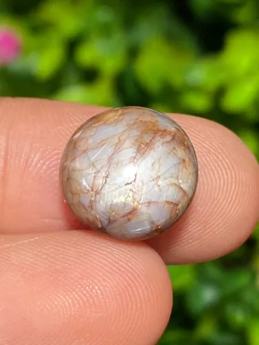 Burmese Sapphire