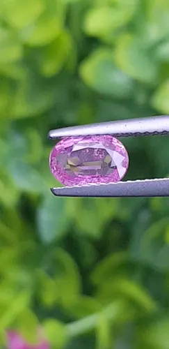 พลอย ชมพู Pink sapphire