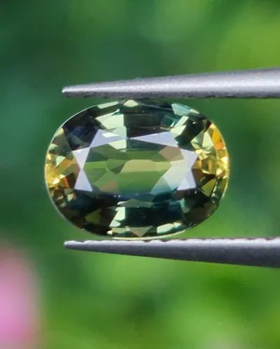 แซฟไฟร์ 3 สี Tri-Color Sapphire