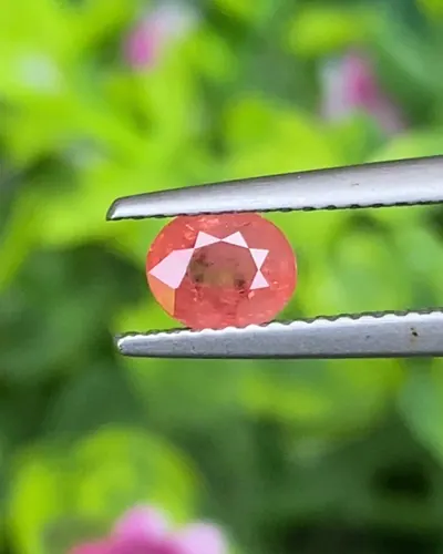 ชมพู ส้ม (Pink Orange Sapphire Sapphire)