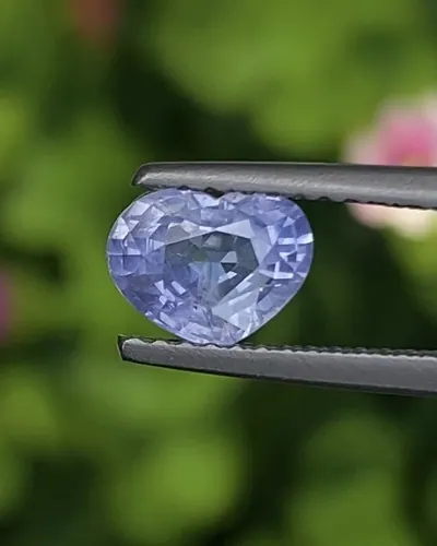 เพอเพิล แซฟไฟร์ สีม่วง Purple Sapphire