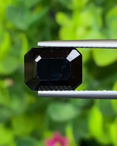แบลค แซฟไฟร์ Black Sapphire