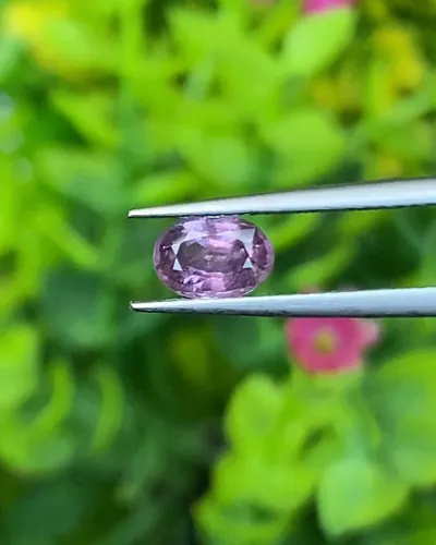 พลอย ม่วง Purple sapphire