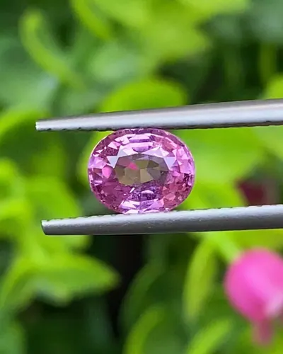 พลอย ชมพู Pink sapphire