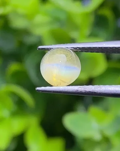 ตาแมว คริโซเบริล Cat eye Chrysoberyl