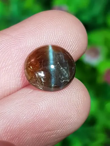 ตาแมว คริโซเบริล Cat eye Chrysoberyl