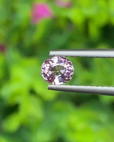 พลอย ชมพู Pink sapphire