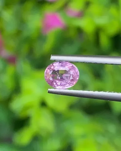 พลอย ชมพู Pink sapphire