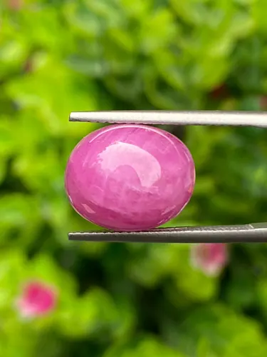 ทับทิม Natural Ruby Sapphire