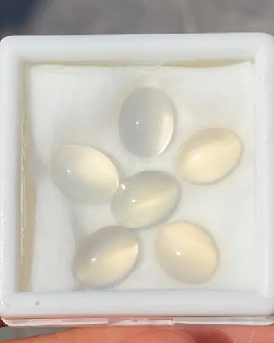 พลอย ตาแมว มูนสโตน Cat eye Moonstone