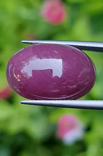 ทับทิม Natural Ruby Sapphire
