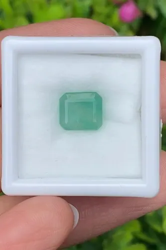 พลอย มรกต Natural Emerald