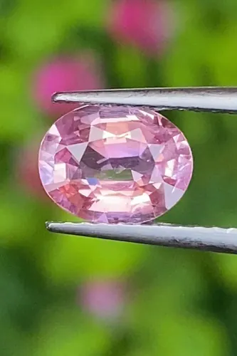 พัดพารัดชา Padparadscha Sapphire