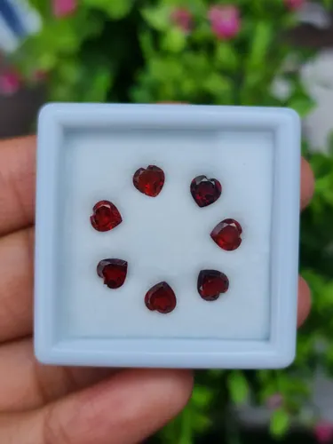 พลอย โกเมน Garnet