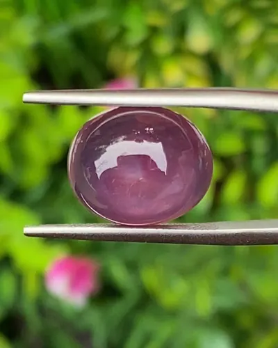 ทับทิม Natural Ruby Sapphire