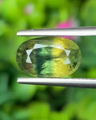แซฟไฟร์ 2 สี Bi Color Sapphire