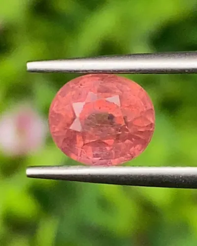 ออเรนจ์ แซฟไฟร์ Orange Sapphire