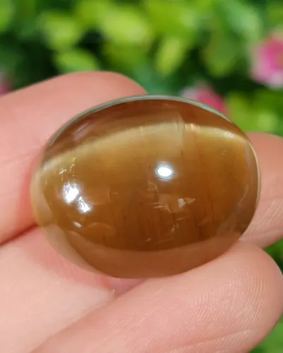 ตาแมว อะพาไทต์ Cat eye Apatite