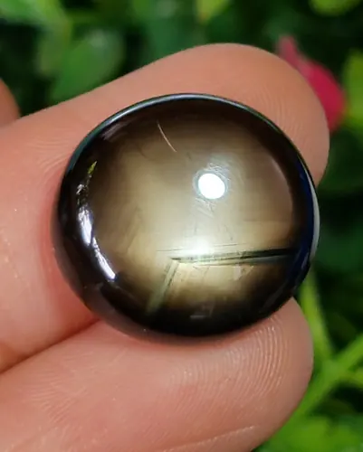 แบล็ค สตาร์ แซฟไฟร์ Natural Star Sapphire