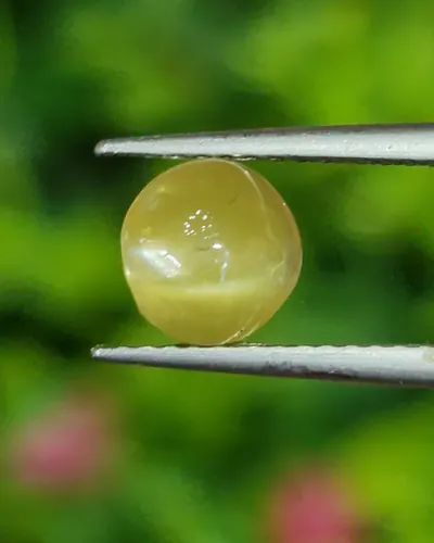 ตาแมว คริโซเบริล Cat eye Chrysoberyl